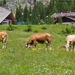 Marmolada Escape Malga Ciapela