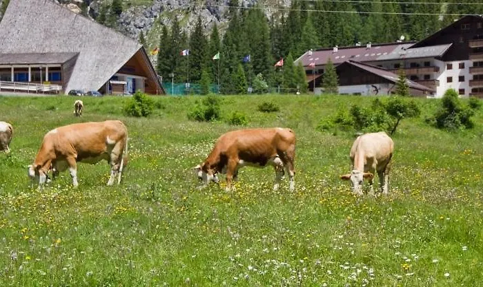 Marmolada Escape 말가치펠라